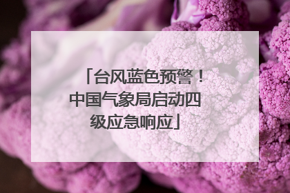 台风蓝色预警！中国气象局启动四级应急响应