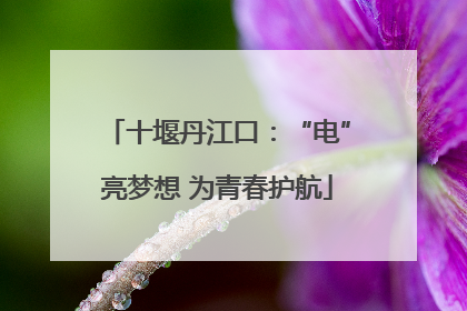 十堰丹江口：“电”亮梦想 为青春护航