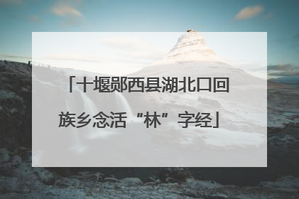 十堰郧西县湖北口回族乡念活“林”字经
