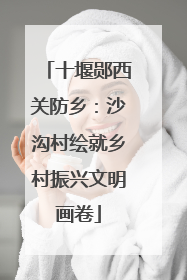 十堰郧西关防乡：沙沟村绘就乡村振兴文明画卷