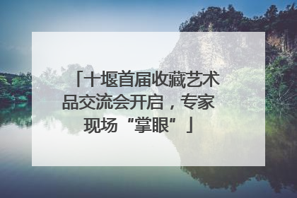 十堰首届收藏艺术品交流会开启，专家现场“掌眼”