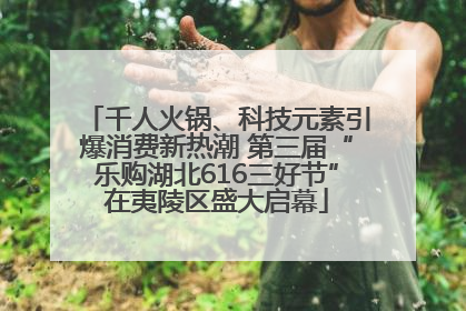 千人火锅、科技元素引爆消费新热潮 第三届“乐购湖北616三好节”在夷陵区盛大启幕