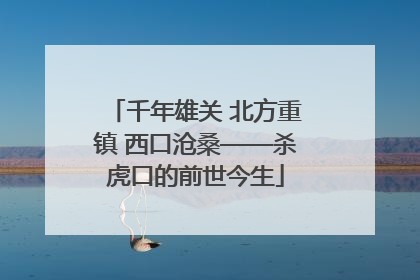 千年雄关 北方重镇 西口沧桑——杀虎口的前世今生