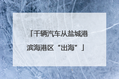 千辆汽车从盐城港滨海港区“出海”
