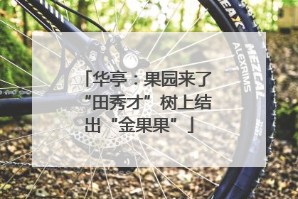 华亭：果园来了“田秀才”树上结出“金果果”