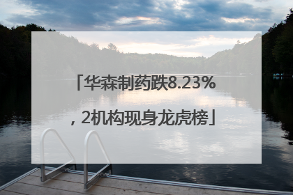 华森制药跌8.23%，2机构现身龙虎榜