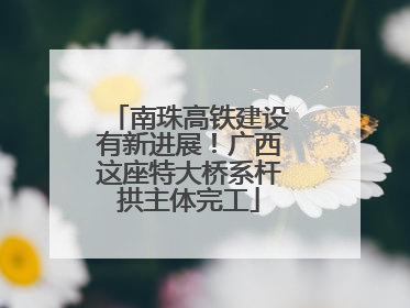 南珠高铁建设有新进展！广西这座特大桥系杆拱主体完工