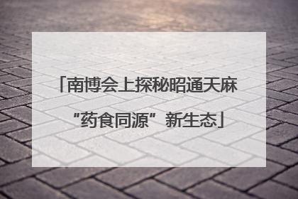 南博会上探秘昭通天麻“药食同源”新生态