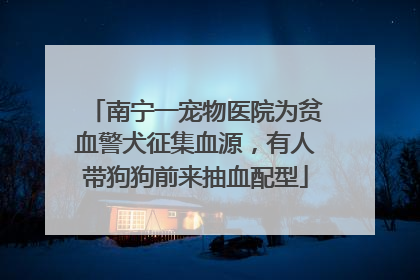 南宁一宠物医院为贫血警犬征集血源，有人带狗狗前来抽血配型