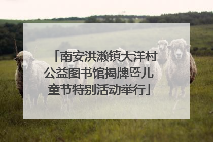 南安洪濑镇大洋村公益图书馆揭牌暨儿童节特别活动举行