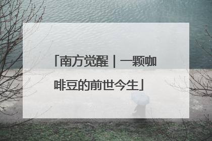 南方觉醒｜一颗咖啡豆的前世今生