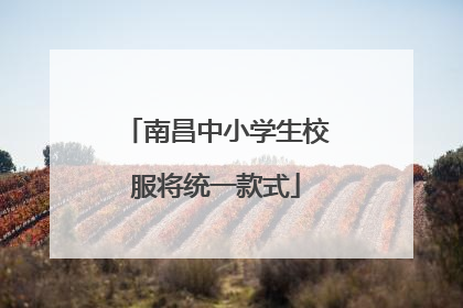 南昌中小学生校服将统一款式