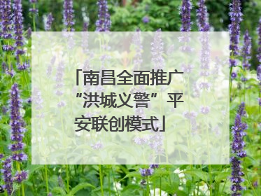 南昌全面推广“洪城义警”平安联创模式