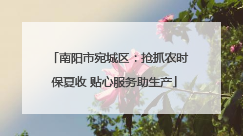 南阳市宛城区：抢抓农时保夏收 贴心服务助生产