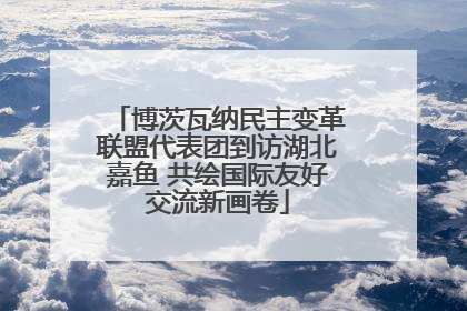 博茨瓦纳民主变革联盟代表团到访湖北嘉鱼 共绘国际友好交流新画卷