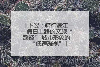卜翌：骑行滨江——假日上路的文旅“蹊径” 城市形象的“低速凝视”