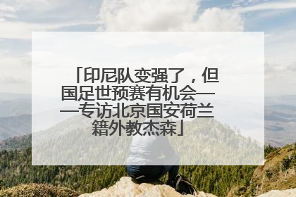 印尼队变强了，但国足世预赛有机会——专访北京国安荷兰籍外教杰森