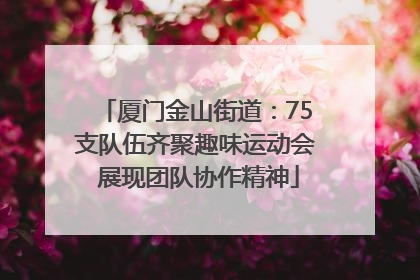 厦门金山街道：75支队伍齐聚趣味运动会 展现团队协作精神