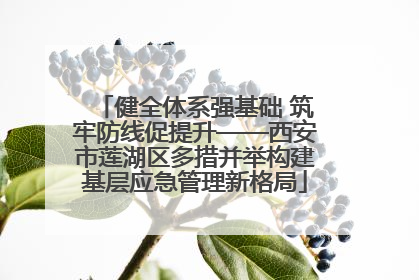 健全体系强基础 筑牢防线促提升——西安市莲湖区多措并举构建基层应急管理新格局
