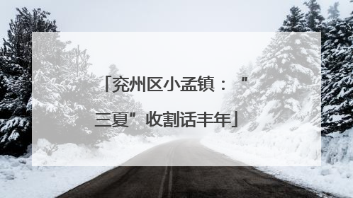 兖州区小孟镇：“三夏”收割话丰年