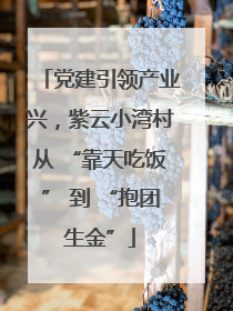 党建引领产业兴，紫云小湾村从 “靠天吃饭” 到 “抱团生金”