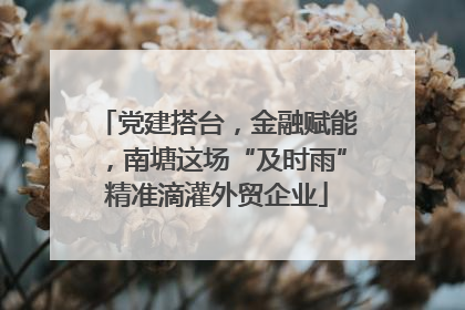 党建搭台，金融赋能，南塘这场“及时雨”精准滴灌外贸企业