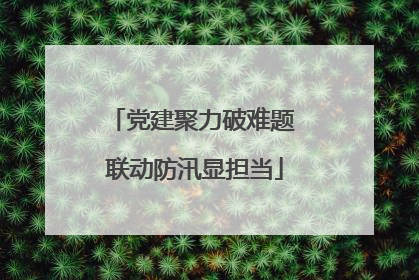 党建聚力破难题 联动防汛显担当