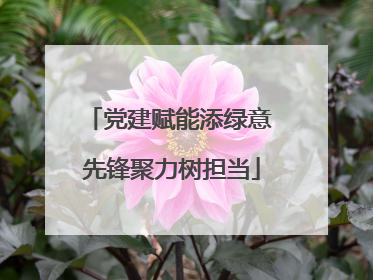 党建赋能添绿意 先锋聚力树担当