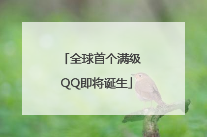 全球首个满级QQ即将诞生