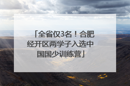 全省仅3名！合肥经开区两学子入选中国国少训练营