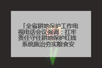 全省耕地保护工作电视电话会议强调：扛牢责任守住耕地保护红线 系统施治夯实粮食安全根基 王宁作出批示 王予波出席并讲话