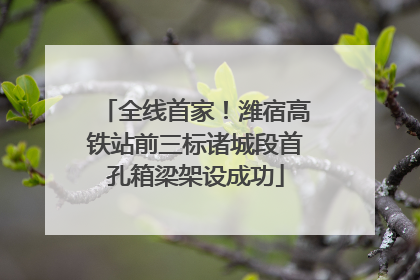 全线首家！潍宿高铁站前三标诸城段首孔箱梁架设成功