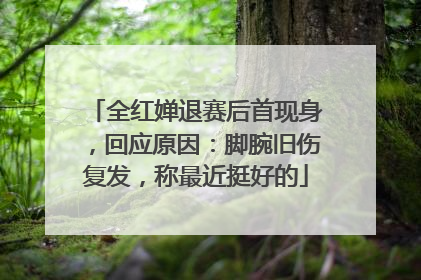 全红婵退赛后首现身，回应原因：脚腕旧伤复发，称最近挺好的