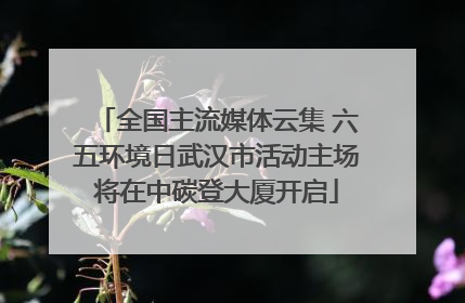 全国主流媒体云集 六五环境日武汉市活动主场将在中碳登大厦开启