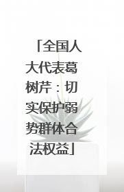 全国人大代表葛树芹：切实保护弱势群体合法权益