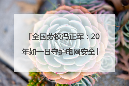 全国劳模冯正军：20年如一日守护电网安全