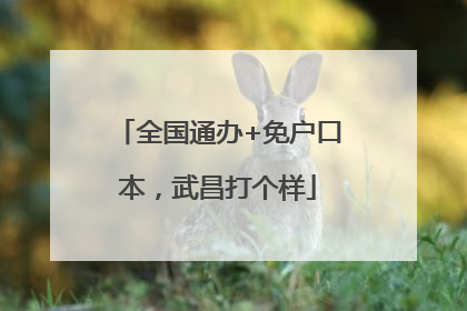 全国通办+免户口本，武昌打个样
