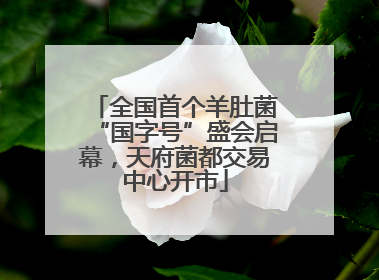 全国首个羊肚菌“国字号”盛会启幕，天府菌都交易中心开市