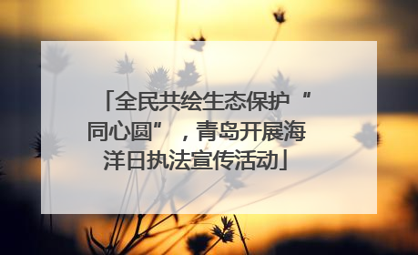 全民共绘生态保护“同心圆”，青岛开展海洋日执法宣传活动