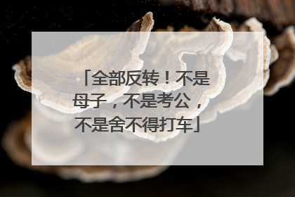 全部反转！不是母子，不是考公，不是舍不得打车