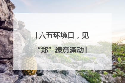 六五环境日，见“郑”绿意涌动