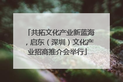 共拓文化产业新蓝海，启东（深圳）文化产业招商推介会举行