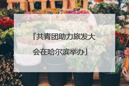 共青团助力旅发大会在哈尔滨举办