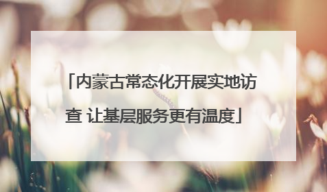 内蒙古常态化开展实地访查 让基层服务更有温度