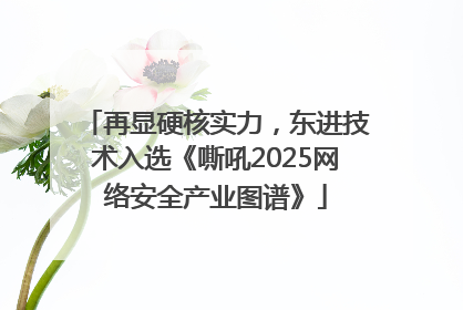 再显硬核实力，东进技术入选《嘶吼2025网络安全产业图谱》
