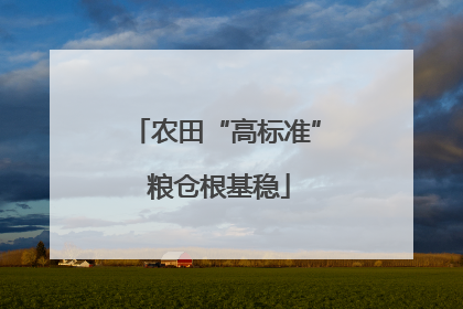 农田“高标准” 粮仓根基稳