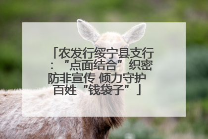 农发行绥宁县支行：“点面结合”织密防非宣传 倾力守护百姓“钱袋子”