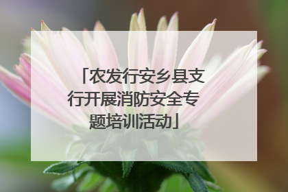 农发行安乡县支行开展消防安全专题培训活动