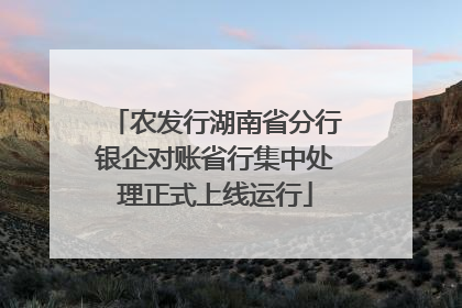 农发行湖南省分行银企对账省行集中处理正式上线运行