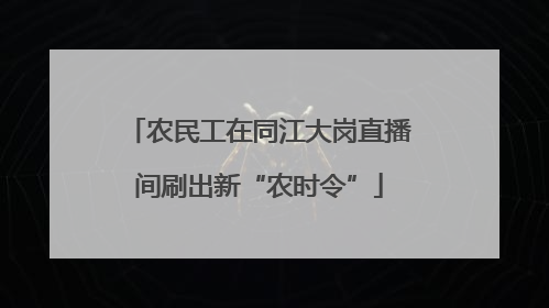 农民工在同江大岗直播间刷出新“农时令”